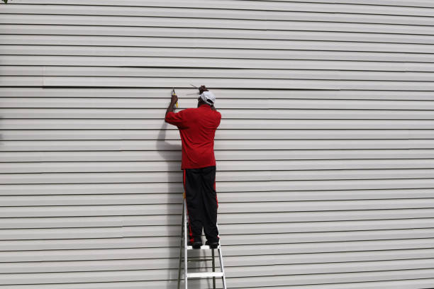 Trusted Polo, IL Siding Experts